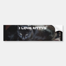 JAG ÄLSKAR KITTYS-bildekal
