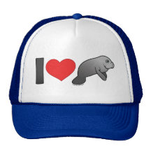 Jag älskar Manatees Baseball Hat