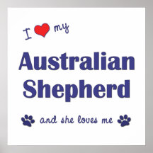 Jag älskar min australian shepherd (den kvinnliga  affischer