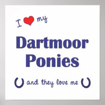 Jag älskar min Dartmoor ponnyer (åtskilliga ponnye Affisch
