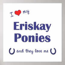 Jag älskar min Eriskay ponnyer (åtskilliga ponnyer Print