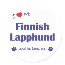 Jag älskar min finlandssvenska Lapphund (den Male 