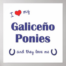 Jag älskar min Galiceno ponnyer (åtskilliga ponnye Posters