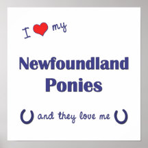 Jag älskar min Newfoundland ponnyer (åtskilliga po Posters