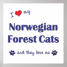 Jag älskar min norska skogkatter (åtskilliga katte affisch