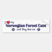 Jag älskar min norska skogkatter (åtskilliga katte bildekaler