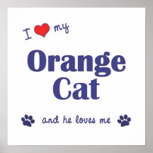 Jag älskar min orange katt (den Male katten) Posters