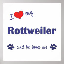 Jag älskar min Rottweiler (den Male hunden) Affisch