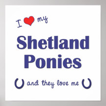 Jag älskar min Shetland ponnyer (åtskilliga ponnye Print
