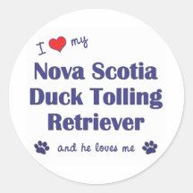 Jag älskar min Tolling Retriever för den Nova Scot Rund Klistermärke