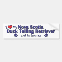 Jag älskar min Tolling Retriever för den Nova Scot Bildekaler