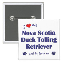 Jag älskar min Tolling Retriever för den Nova Scot Nål