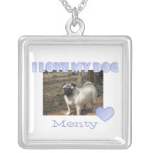 Jag älskar mitt hundhalsband