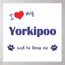 Jag älskar mitt Yorkipoo (den Male hunden) affisch