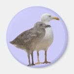 Jag älskar naturen - digital teckning magneter