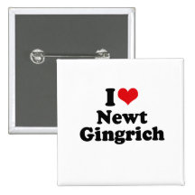 JAG ÄLSKAR NEWT GINGRICH KNAPPAR