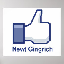 JAG GILLAR NEWT GINGRICH AFFISCHER