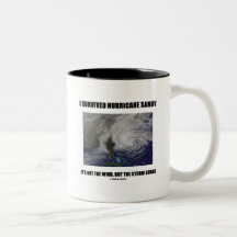 Jag överlevde den sandiga orkanen det är inte vind kaffe kopp