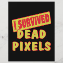 JAG ÖVERLEVDE DÖDA PIXEL FULL FÄRG FLYGBLAD