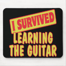 JAG ÖVERLEVDE LÄRA GITARREN MUS MATTA