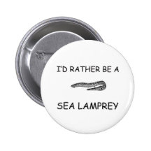Jag skulle är ganska en havsLamprey Knapp