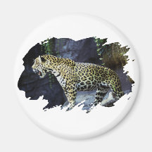 Jaguar Magneter