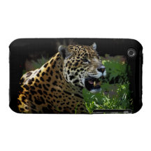 Jaguarvild kattDjur-Älskare iphone case Case-Mate iPhone 3 Fodraler