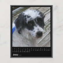 januari 2012 kalender personliga flygblad