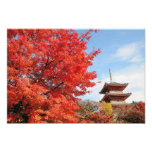 Japan Kyoto. Kiyomizu tempel i höstfärg Fotontryck