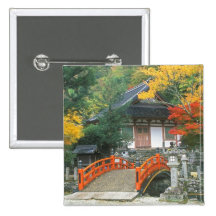Japan Nara, Ryuzenji tempel Nål