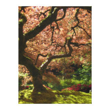 Japansk lönnAcer Palmatum Portland trädgård Sträckta Canvas Tryck