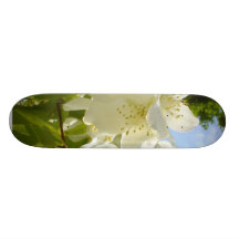 Jasminblommor Skateboard