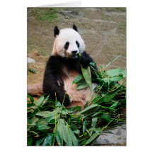 Jätte- Panda Hälsnings Kort