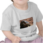 Jätte Sadel-Dragen tillbaka sköldpaddaCloseup T Shirts