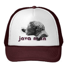 Java leraman mesh kepsar