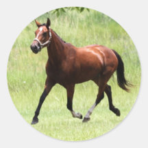 Jazzy Runda Klistermärken