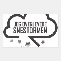 Jeg overlevedesnestormen rektangelformade klistermärken