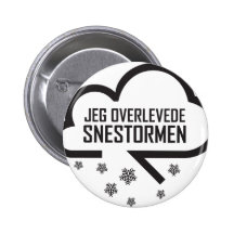 Jeg overlevedesnestormen pins