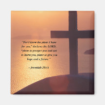 JEREMIAH 29:11 MAGNETER