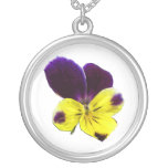 Blommor