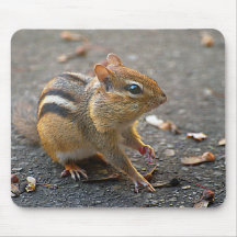 Jordekorre Mousepad Musmatta