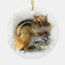 Jordekorreprydnad Julgranskula