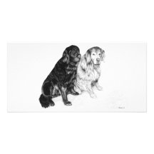 Josh och Toby - fotokort