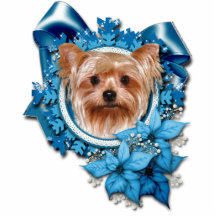 Jul - blåttsnöflingor - Yorkshire Terrier Photo Cutout