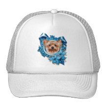 Jul - blåttsnöflingor - Yorkshire Terrier Keps
