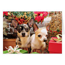 Jul - Chihuahua - Gordy och Pedro Hälsningskort