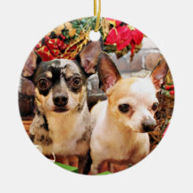 Jul - Chihuahua - Gordy och Pedro Juldekoration