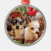 Jul - Chihuahua - Gordy och Pedro Julgranskulor