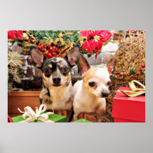 Jul - Chihuahua - Gordy och Pedro Posters