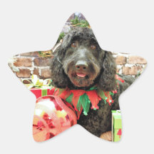 Jul - GoldenDoodle - pärlemorfärg sylt Stjärnformade Klistermärken